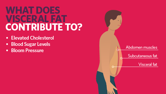 Illo of what visceral fat is contribute to